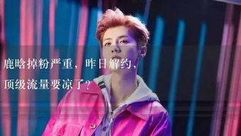 娱乐吃瓜 小故事视频在线观看