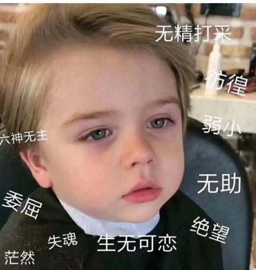 微信吃瓜的表情包的意思是,揭秘微信吃瓜表情包背后的趣味与内涵