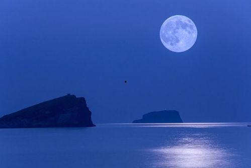 月亮吃瓜娱乐说,揭秘娱乐圈幕后故事