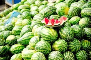 吃瓜网每日大赛 反差吃瓜爆,揭秘明星们的双重魅力