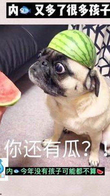 娱乐圈子吃瓜群众是谁啊,娱乐圈子里的神秘“吃瓜群众”揭秘