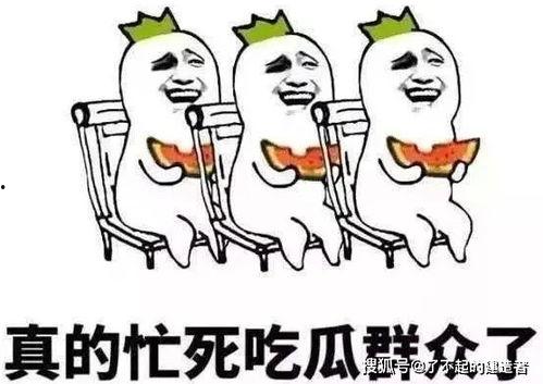 娱乐吃瓜酱防止智力退化,智慧不退——趣味生活，智力提升之道